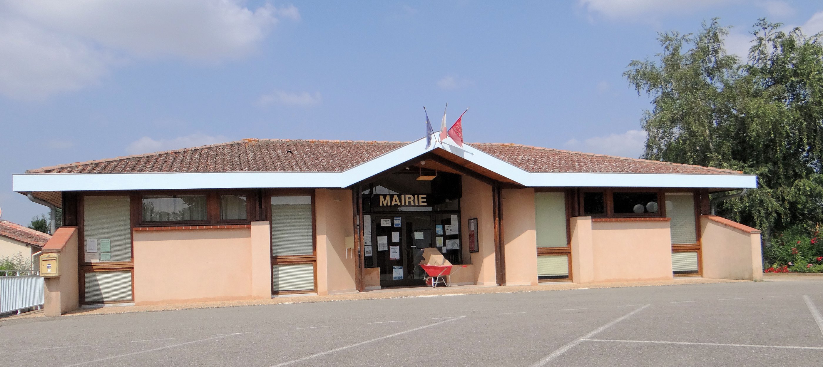 Image décorative de présentation du site :